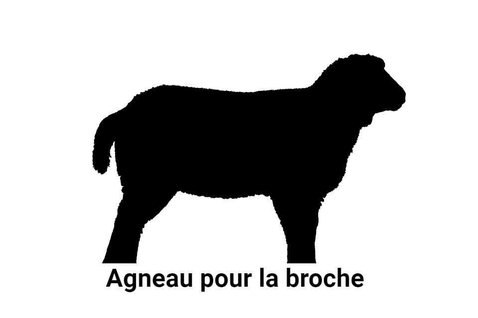 Agneau pour la broche