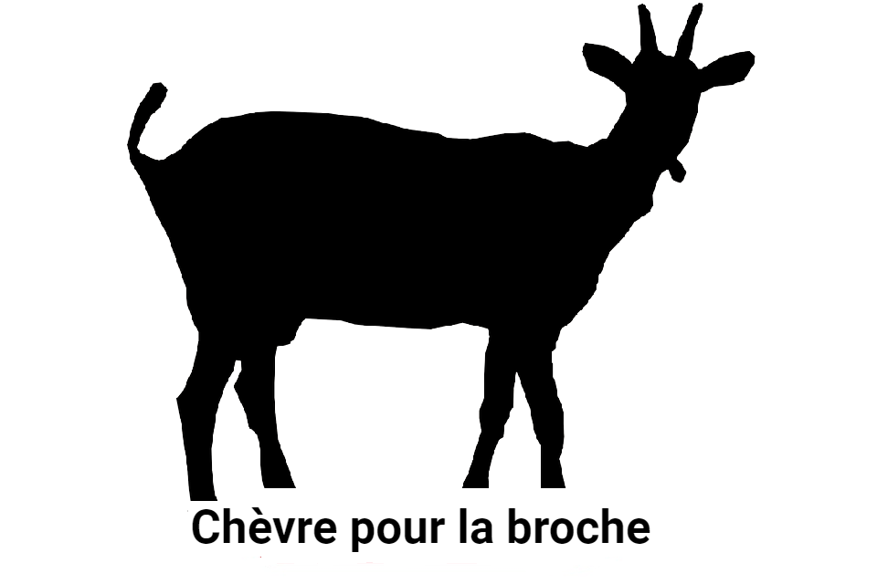 Chevre pour la broche