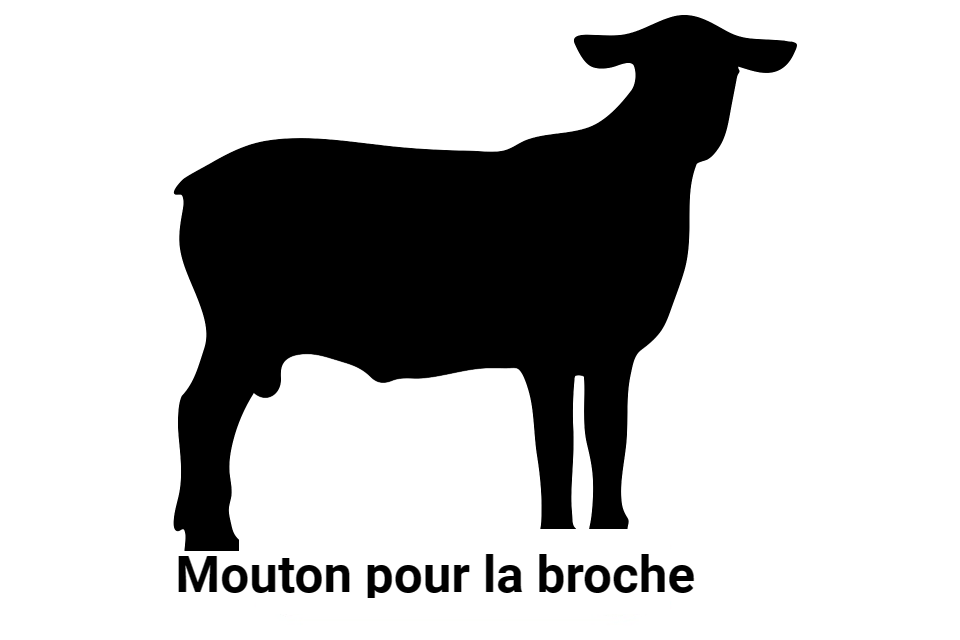 Mouton pour la broche